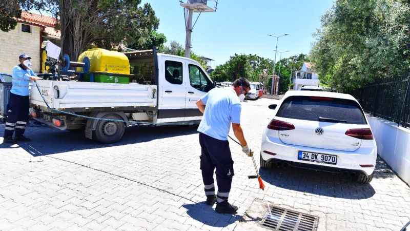 İklim krizi sivrisinek popülasyonunu artırdı