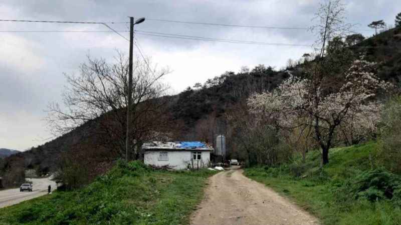 Gizemli kazı çalışması Bolu'da devam ediyor: altın arayışı ve büyük gizem çevreye yansıdı...