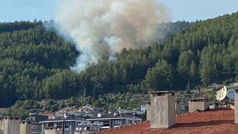 Muğla’da orman yangını