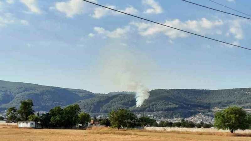 Muğla’da orman yangını