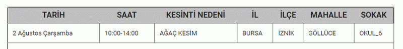 BURSA’DA ELEKTRİK KESİNTİSİ! Bursa’nın bir çok mahallesinde elektrik kesintisi yaşanacak