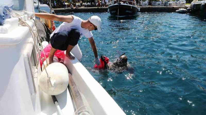 Bodrum'da deniz temizliği: Dalgıçlar 1 saatte yarım ton çöp topladı