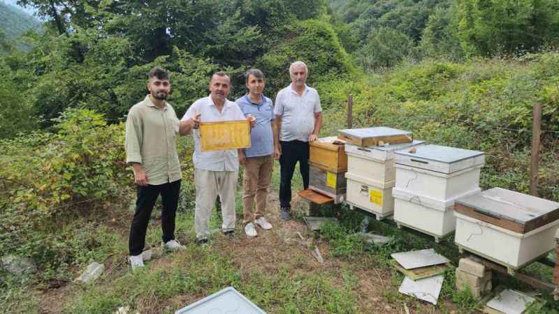 Arıcıların şaşırtan keşfi : Arıların oluşturduğu 