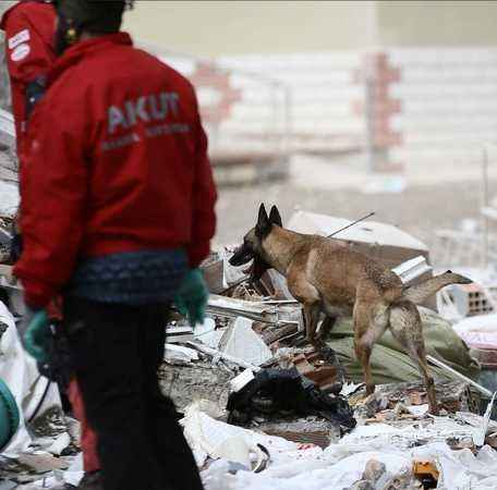 AKUT ve Royal Canin’den arama köpekleri için iş birliği 