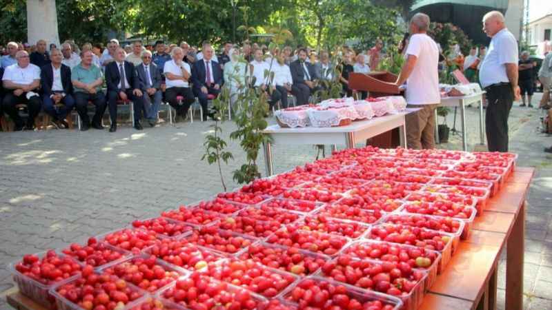 16. Şenköy Kızılcık Şenliği renkli görüntülere sahne oldu