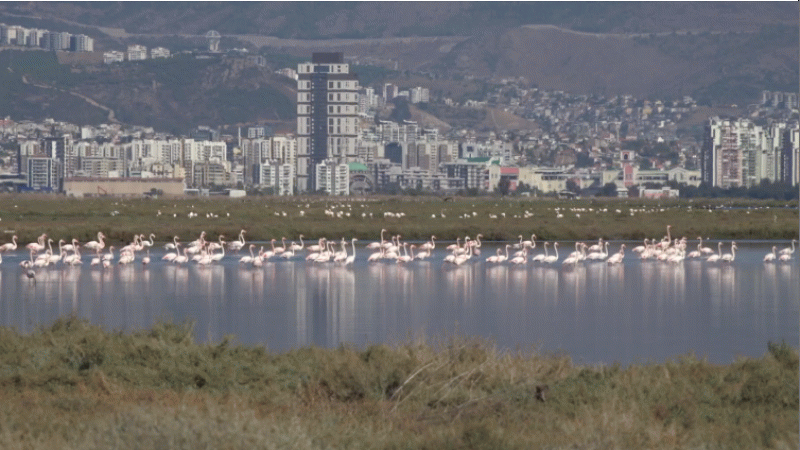 İzmir Halk Sağlığı Müdürlüğü Açıkladı: İzmir Körfezi'nde denize girebilirsiniz, suyu 