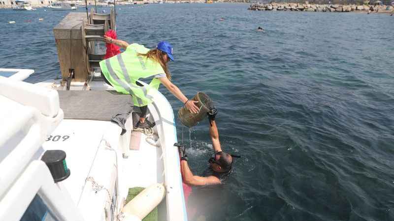 Başkan Aras temiz Bodrum için çalışıyor: Denizden çıkanlar şaşkınlık yarattı!