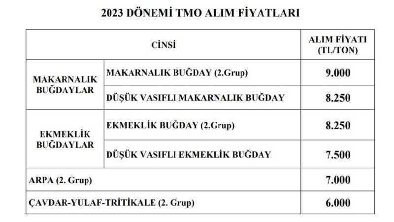 Buğdayın alım fiyatı belli oldu! TMO 2023 güncel buğday alım fiyatları…