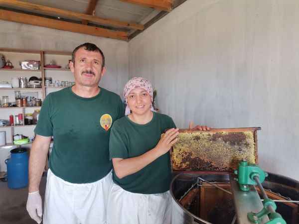 Bandırma'da 'sıvı altın' hasadına başlandı