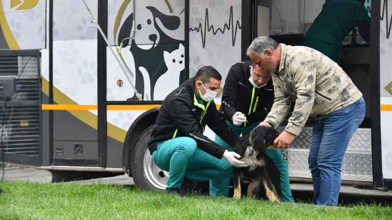 Balıkesir’de her canlı kıymetli