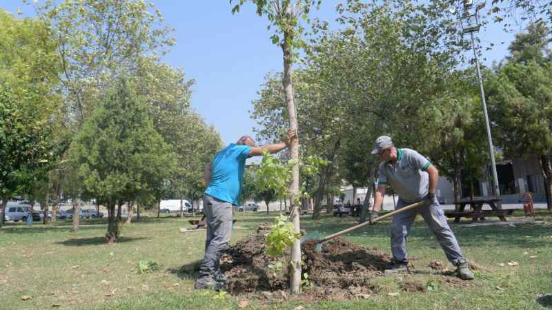 Başkan İduğ, daha yaşanılabilir ve yeşil bir Bornova için çalışıyor