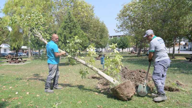 Başkan İduğ, daha yaşanılabilir ve yeşil bir Bornova için çalışıyor