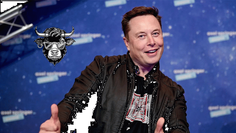 Elon Musk'ın yeni Doge Coin'i 