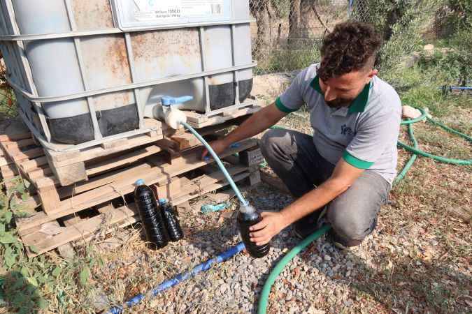 Bornova’da çevreci dönüşüm: Budanan dallar yeni bitkilere can veriyor