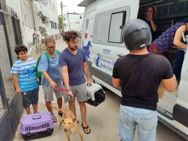 Bodrum Belediyesi gezici veteriner ekibi iş başında