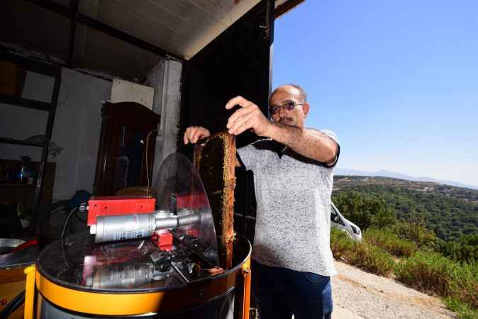 Bornovalı arıcılarda hasat mutluluğu