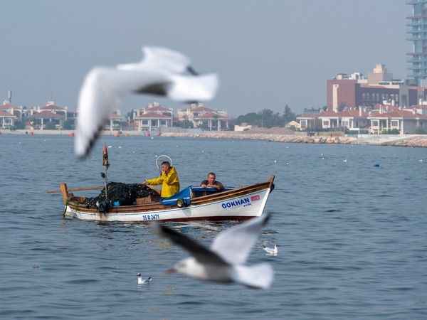 İzmir Körfezi’nin su kalitesi, güven verdi