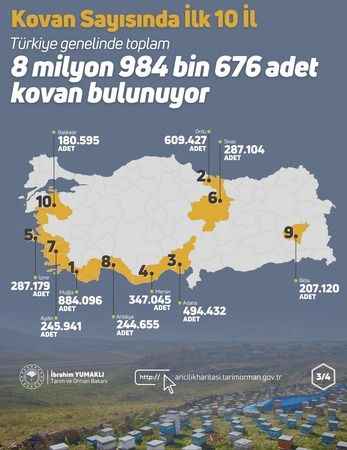 Balıkesir ismini nereden aldı? Balı - Kesir mi? Balık - Esir mi?