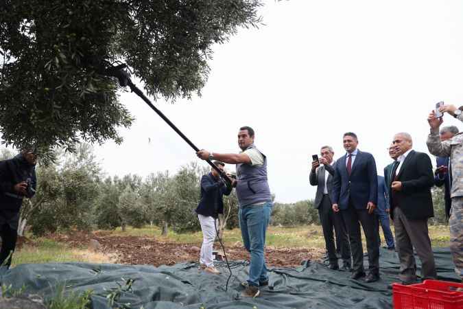 Zeytin Hasat Şenliği Aliağa’yı Buluşturdu