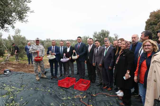 Zeytin Hasat Şenliği Aliağa’yı Buluşturdu