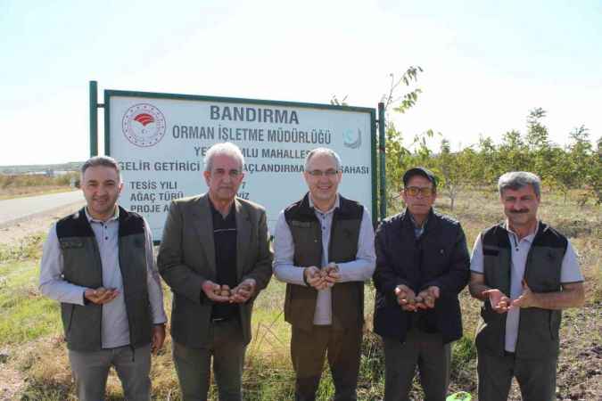 Bandırmalı vatandaş deneme amaçlı bahçesine ekti, 12 ton hasat elde etti... 1 milyon lira gelire kondu!