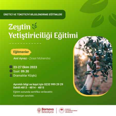 Belediyeden üreticilere ve girişimcilere zeytincilik eğitimi