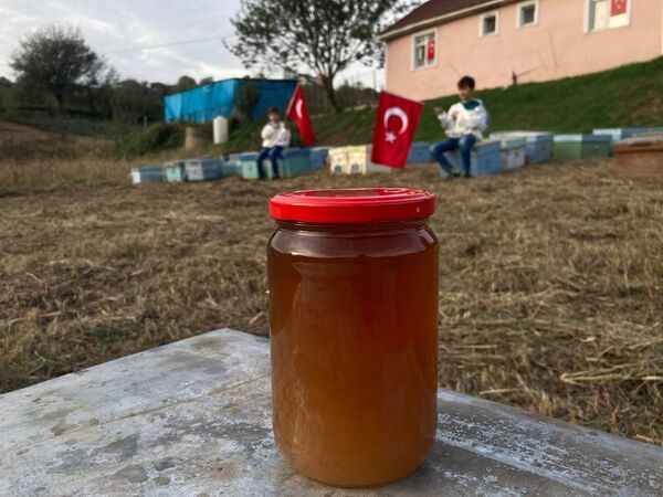 Çiftçilerden sonra arıcılar da akıma uydu! Cumhuriyetin 100.Yılı akımı çığ gibi büyüyor..!