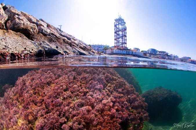 Başkan Soyer İzmir Körfezi’nde tüple dalış yaptı