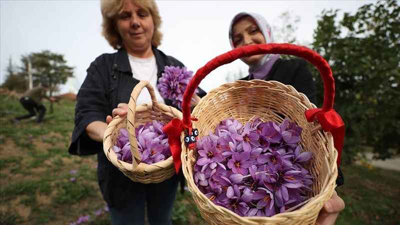 Evhanımı 4 çocuk annesi 800 metrekare alanda başladığı 