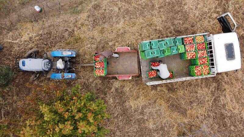 Balıkesir Havran'ın eşsiz lezzeti hem bölge halkını kalkındırıyor hem de ülke ekonomisine katkı sağlıyor