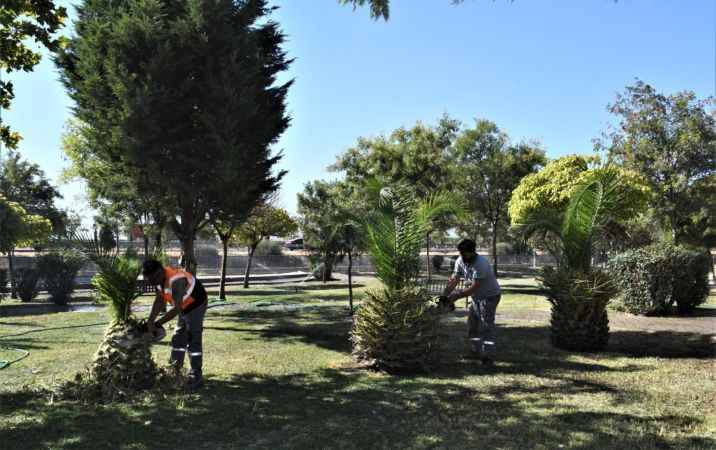 Belediyeden Bornova'ya yeşil dokunuş