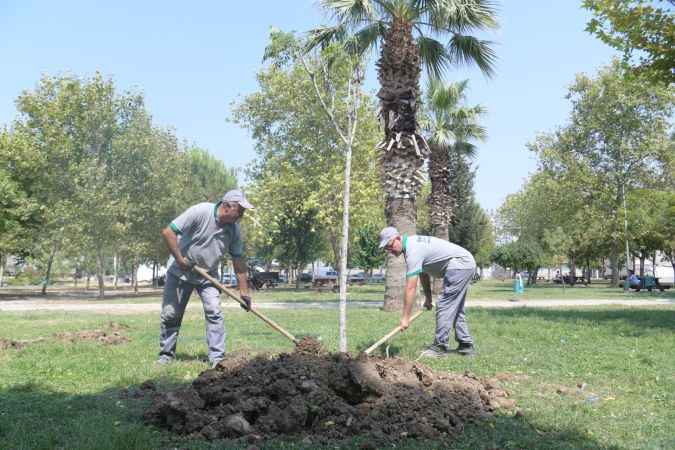 Belediyeden Bornova'ya yeşil dokunuş