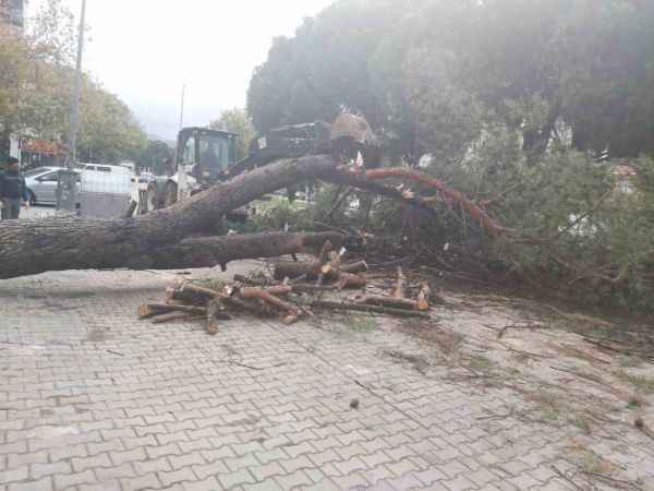 Ayvalık altüst oldu çok miktarda maddi hasar var