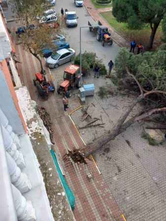 Ayvalık altüst oldu çok miktarda maddi hasar var