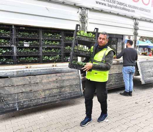 Çiftçiye 1 milyondan fazla dağıtıldı, hasat edilmeyi bekliyor.. İzmir'in kalbinde yetişiyor, bölge ekonomisine katkı sağlıyor. 