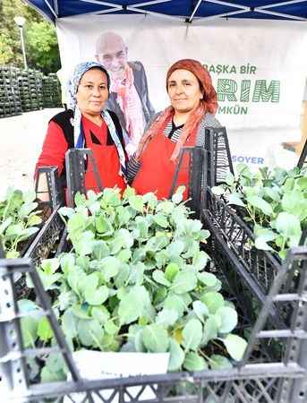 Çiftçiye 1 milyondan fazla dağıtıldı, hasat edilmeyi bekliyor.. İzmir'in kalbinde yetişiyor, bölge ekonomisine katkı sağlıyor. 