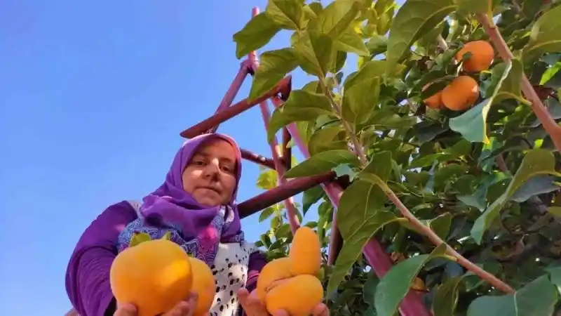 Tüketenler kış boyu grip, soğuk algınlığı nedir bilmiyor..! C vitamini deposu günde 1 tane yemek adamı 