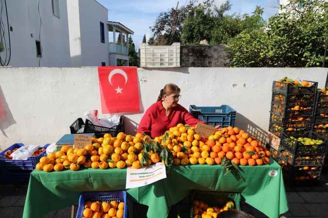 Bodrum Mandalin Festivali Buruk Geçti