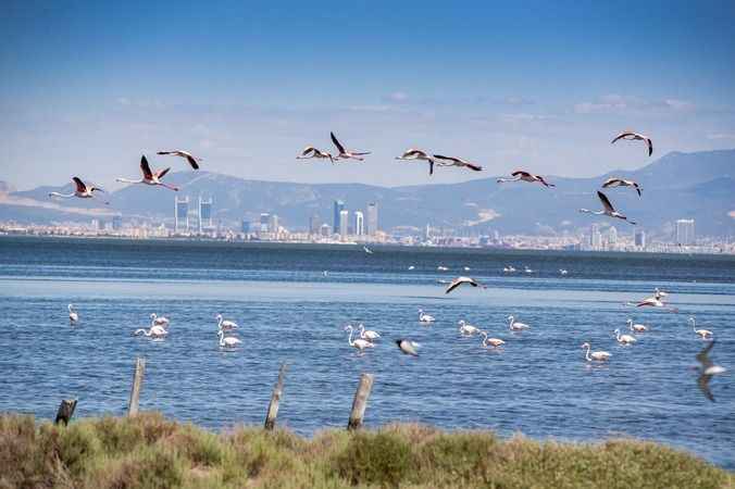 Turizmde İzmir’in yükseliş dönemi başladı