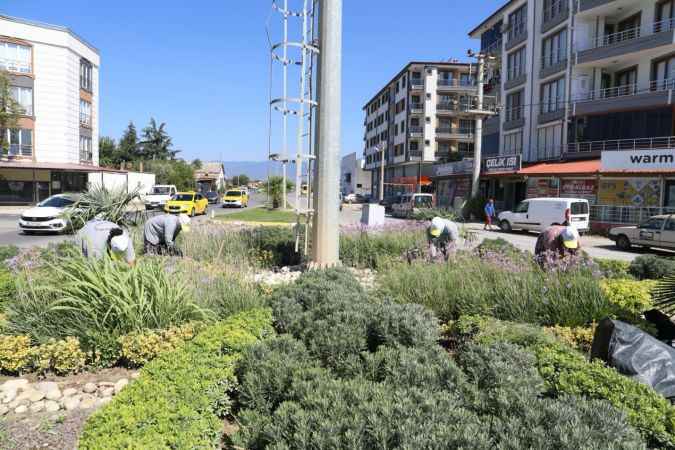 Burhaniye Belediyesi 2023 yılında yeşil bir çevre için çalışmalarını sürdürdü