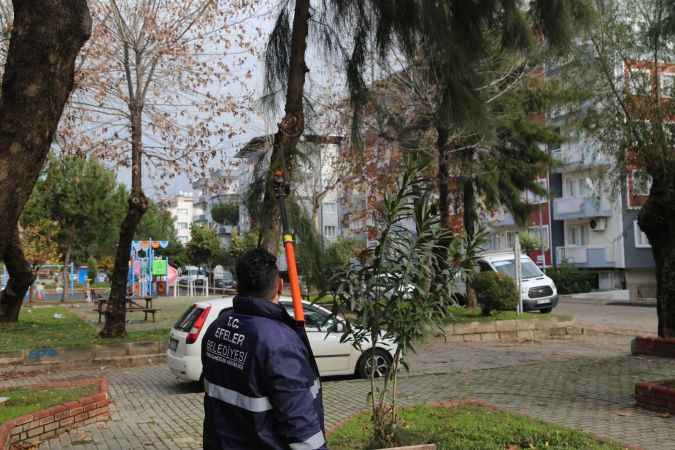 Efeler'in ekipleri mesai harcıyor, kent estetiği güçleniyor