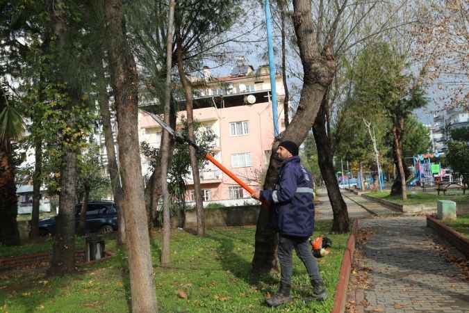 Efeler'in ekipleri mesai harcıyor, kent estetiği güçleniyor