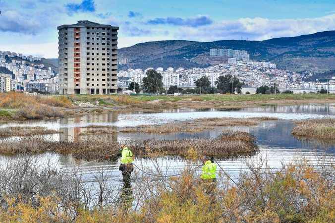 İzmir haşere ile mücadele ediyor.. İzmir'de 300 bin noktada sivrisinek mücadelesi