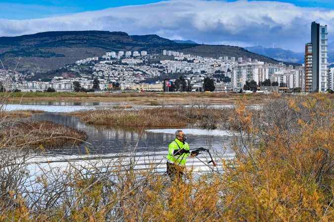 İzmir haşere ile mücadele ediyor.. İzmir'de 300 bin noktada sivrisinek mücadelesi