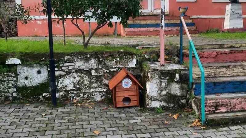 Gömeç’te sokak kedilerine, kedi evi