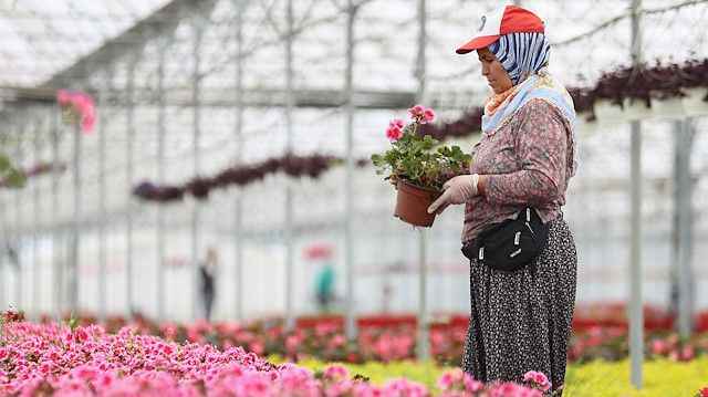 Ege İhracatçı Birlikleri’nin ihracatını tarım sektörü sırtladı.. Balıkesir 100 milyon doları geçti..