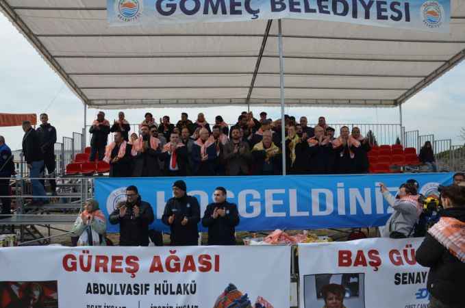 Gömeç’te 14. Geleneksel Karaağaç Deve Güreşleri’ne yoğun ilgi