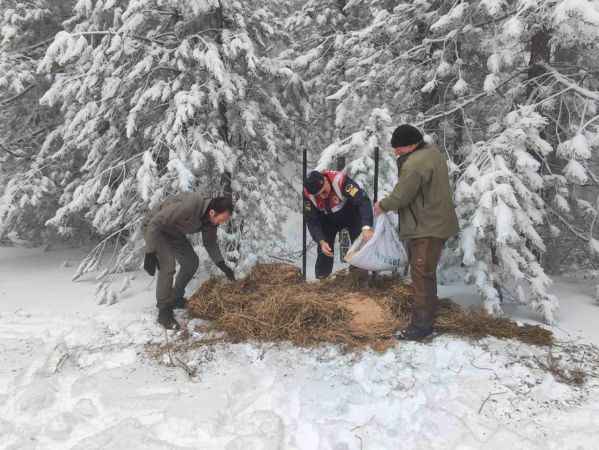 Balıkesir Jandarması, karla kaplı Kazdağları'ndaki yaban hayvanlarını unutmadı