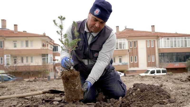 Başkan Orkan: “Doğayı ve yeşili koruyoruz”