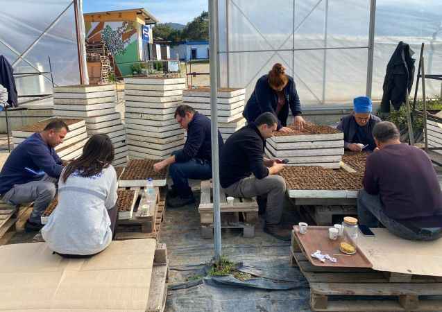 Atalık tohumlar Akdeniz'in verimli topraklarıyla buluşuyor, üreticiler bayram ediyor